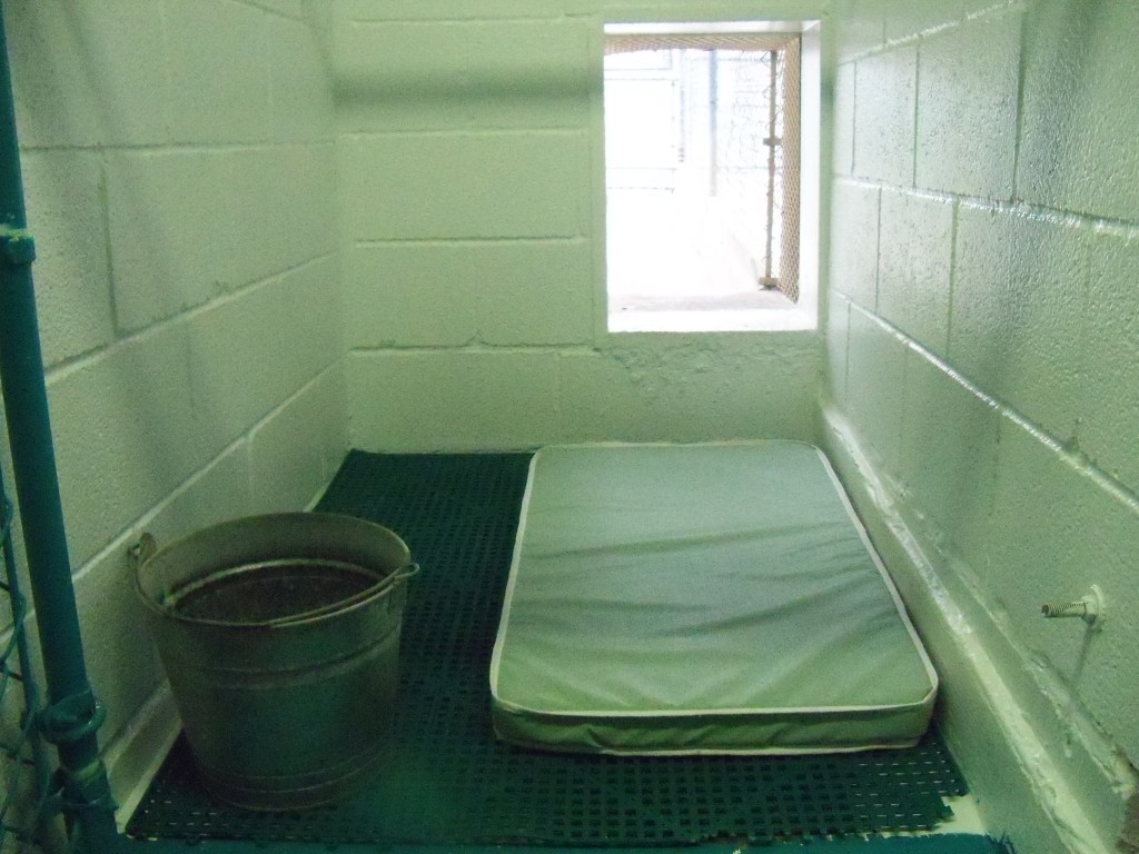 Dog Boarding ToothAcres Petcare Center