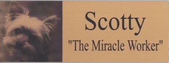 Toothacres cremation sales